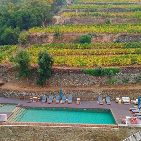 Quinta De Travassinhos- Douro Valley & Spa 산타마르타드페네구아 외부 사진