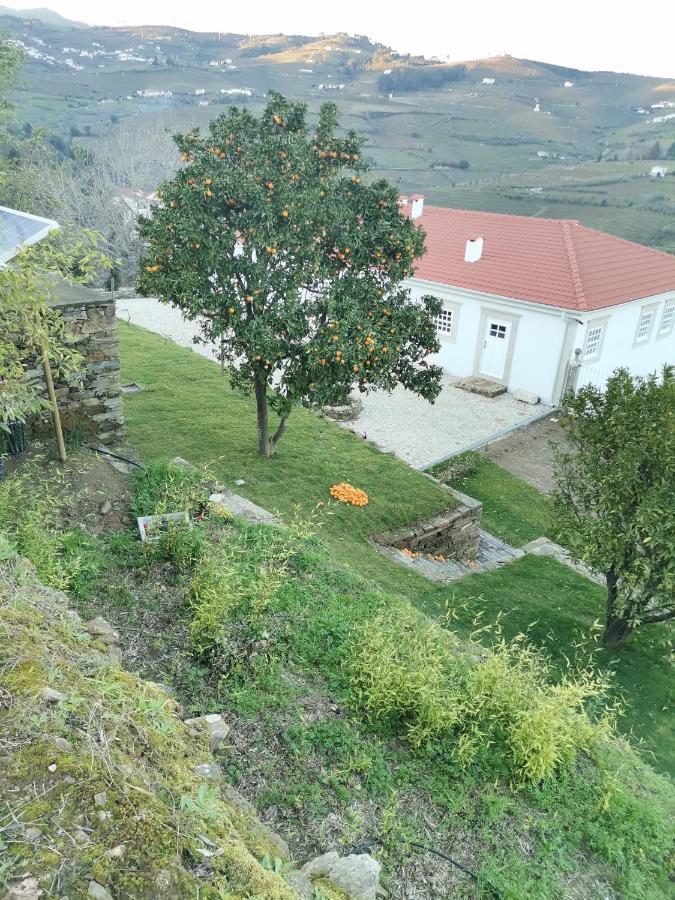 Quinta De Travassinhos- Douro Valley & Spa 산타마르타드페네구아 외부 사진
