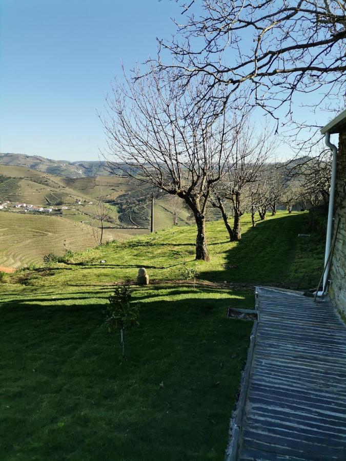 Quinta De Travassinhos- Douro Valley & Spa 산타마르타드페네구아 외부 사진