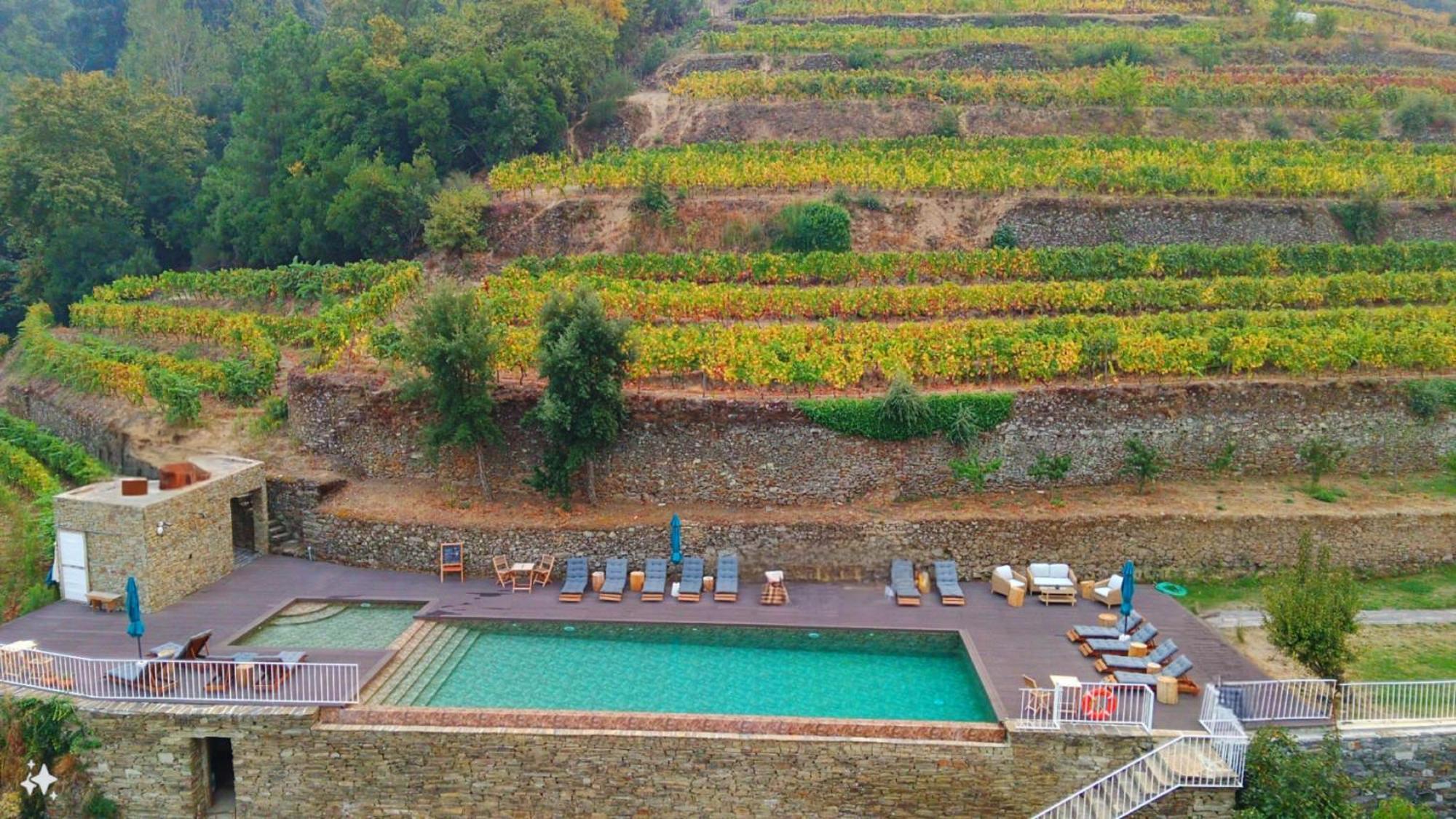 Quinta De Travassinhos- Douro Valley & Spa 산타마르타드페네구아 외부 사진