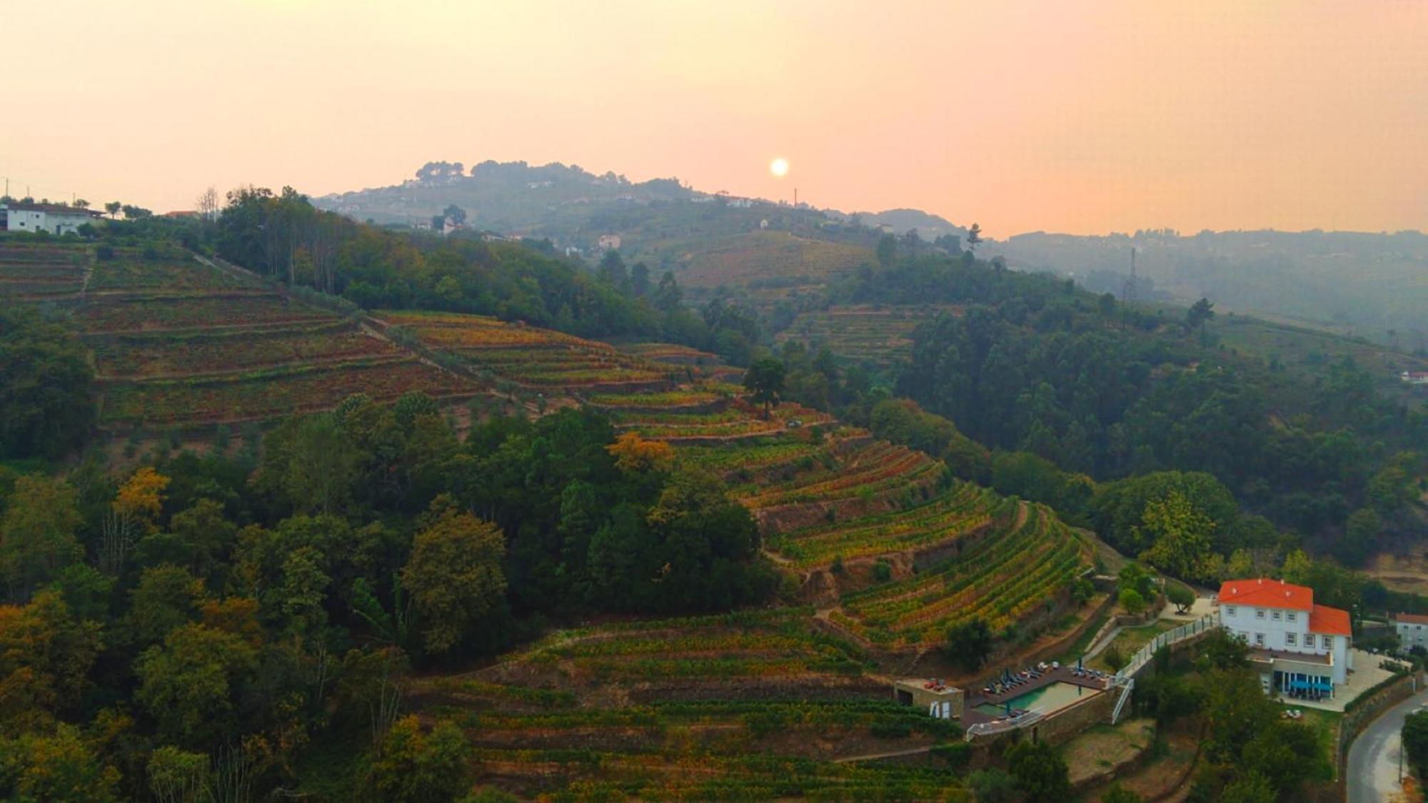 Quinta De Travassinhos- Douro Valley & Spa 산타마르타드페네구아 외부 사진