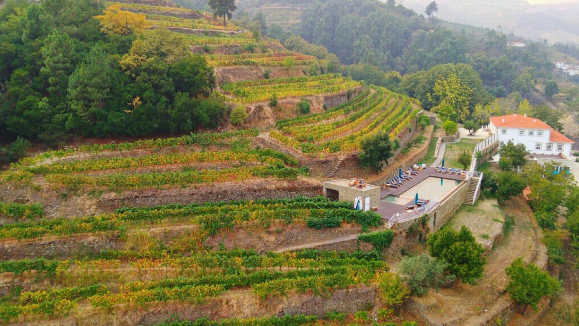 Quinta De Travassinhos- Douro Valley & Spa 산타마르타드페네구아 외부 사진